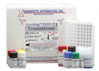 Testosterone ELISA kit