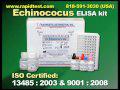 Echincoccus ELISA kit