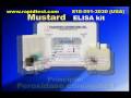 Mustard ELISA kit