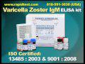 Varicella Zoster IgM ELISA kit