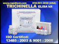 Trichinella ELISA kit