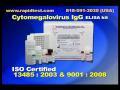 Cytomegalovirus IgG (CMV IgG) ELISA kit