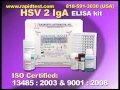 HSV 2 IgA ELISA kit