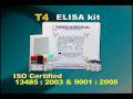 T4 ELISA kit