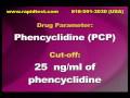 Phencyclidine Drug test - PCP Drug test