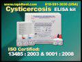 Cysticercosis (T. Solium) ELISA kit