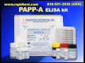 PAPP-A ELISA kit
