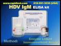 HDV IgM ELISA kit