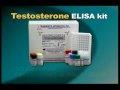 Testosterone ELISA kit