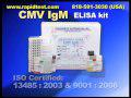 CMV IgM ELISA kit