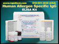 Human Specific IgG ELISA kit