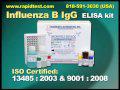 Influenza B IgG ELISA kit