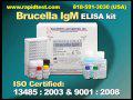 Brucella IgM ELISA kit