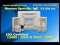 Human Specific IgE ELISA Kit