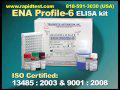 ENA Profile ELISA kit