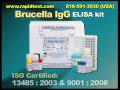 Brucella IgG ELISA kit