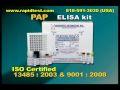 PAP ELISA kit