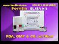 Ferritin ELISA kit