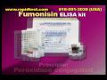 FUMONISIN ELISA kit