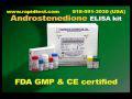 Androstenedione ELISA kit