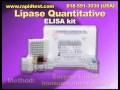 Lipase Quantitative ELISA test kit