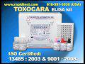 TOXOCARA ELISA kit