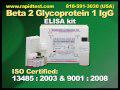 Beta 2 Glycoprotein 1 IgG ELISA kit