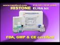 HISTONE ELISA kit