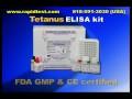 Tetanus-ELISA-kit