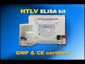 HTLV ELISA kit