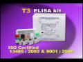 T3 Elisa kit