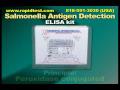 Salmonella antigen detection ELISA kit