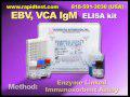 EVB,VCA-IgM ELISA kit