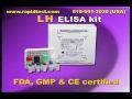 LH ELISA kit