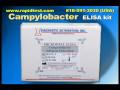 Campylobacter Antigen Detection ELISA kit