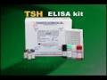 TSH ELISA kit