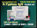 S.Typhus IgG ELISA kit
