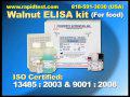 Walnut ELISA kit.mov