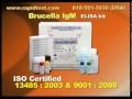Brucella IgM ELISA kit