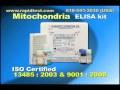 MITOCHONDRIA ELISA kit