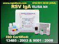 RSV IgA ELISA kit