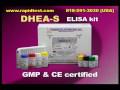 DHEA-S ELISA kit