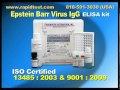 EPSTEIN BARR VIRUS (EA)IgG ELISA kit