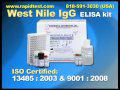 West Nile IgG ELISA kit