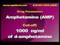 Amphetamine Drug test - AMP Drug test