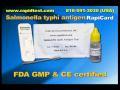 Salmonella Rapid Test