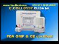 E.COLI 0157 ELISA kit