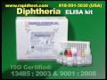 Diptheria ELISA kit