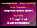 Buprenorphine Drug test - BUP Drug test