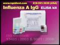 Influenza A IgG ELISA kit